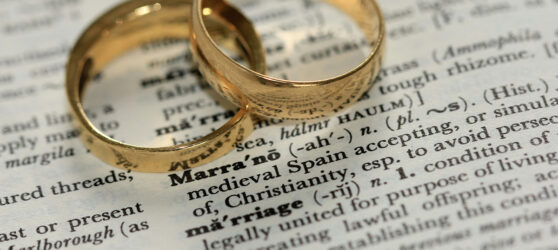 es vizesi _ sandy-millar-YeJWDWeIZho-unsplash es vizesi